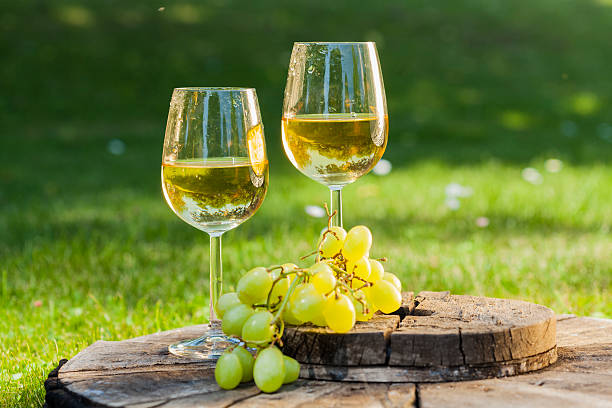 sauvignon blanc