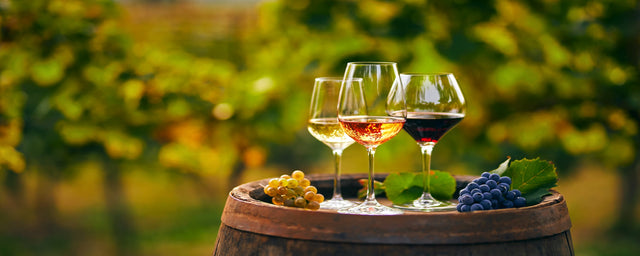 Organic Wine